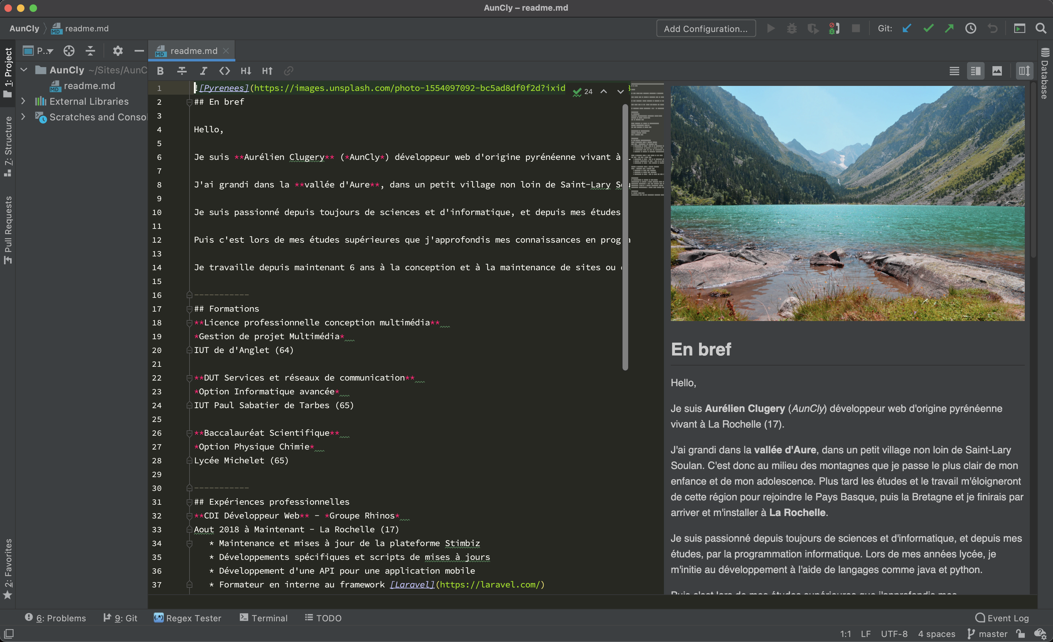 Previsualisation en direct de PhpStorm